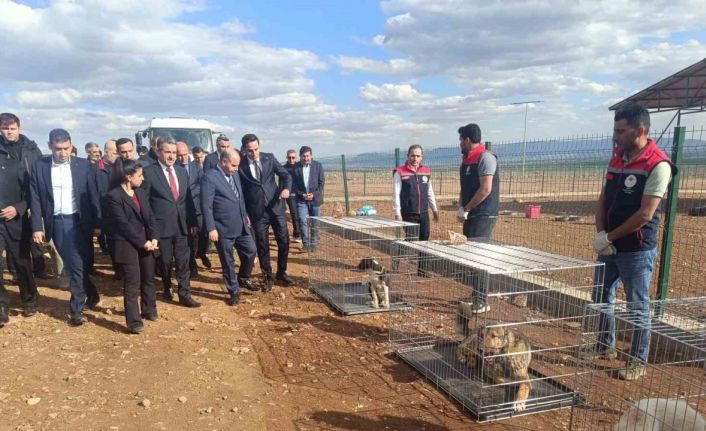 İçişleri Bakan Yardımcısı Aktaş’ın Şırnak temasları