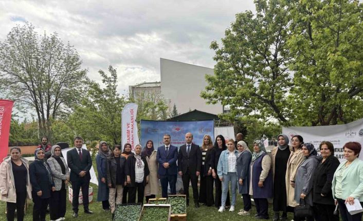 Iğdır’da kadın çiftçilere fide dağıtımı yapıldı