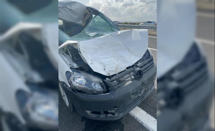 İneğe çarpan otomobilin sürücüsü hayatını kaybetti
