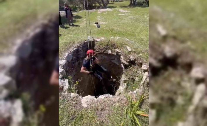 İzmir’de kuyuya düşen kuzu kurtarıldı