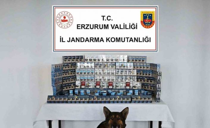 Jandarmadan kaçakçılara geçit yok