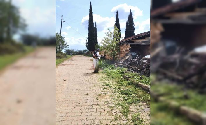 Karacasu Belediyesinden yeşil alanlarda yoğun mesai