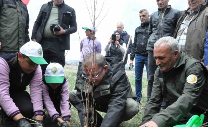 Karsta meyve ağaçları toprakla buluştu
