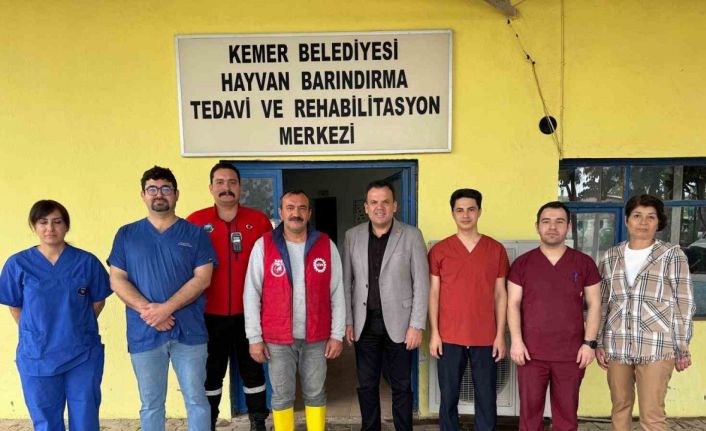 Kemer’de sokak hayvanlarına destek çağrısı