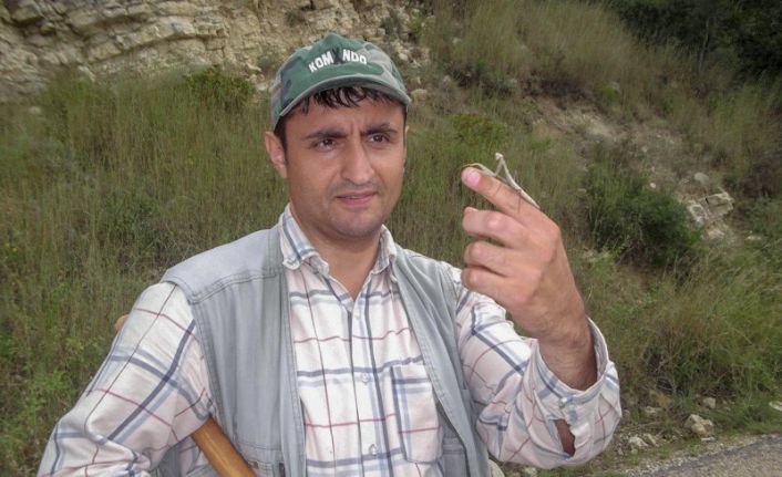 Keşfedilen böcek türüne eşinin ismini verdi