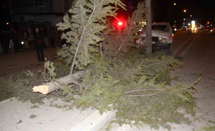 Konya’da otomobil refüjdeki ağaca çarptı: 6 yaralı