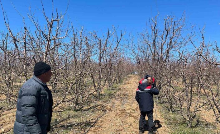 Konya’da yaşanan zirai don için hasar tespitine başlandı