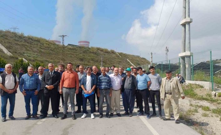 Köylüler, kül yağdıran termik santral için eylem yaptı
