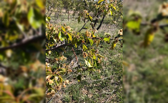 Kulu’da ekili arazilerin don tespit çalışmaları devam ediyor