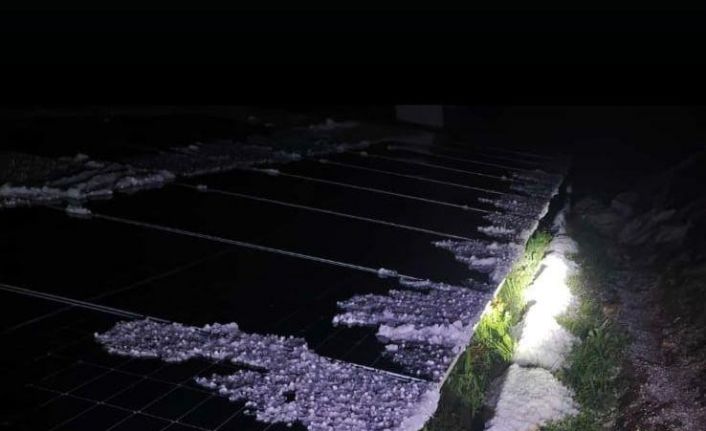 Malatya’da dolu yağışı kayısı bahçelerine zarar verdi