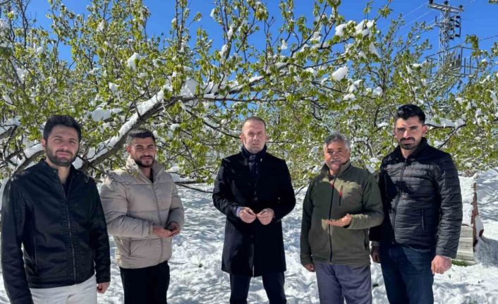 Malatya’da kayısı da don felaketi