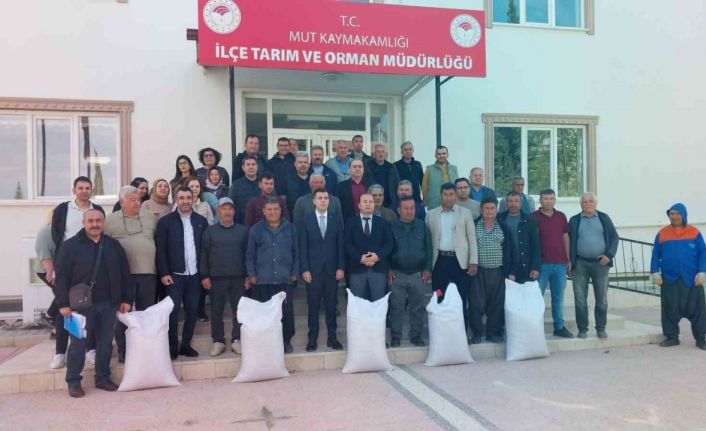 Mersin Mut’ta üreticiye tohum desteği