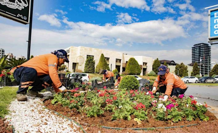 Mersin rengarenk çiçeklerle baharı karşılıyor