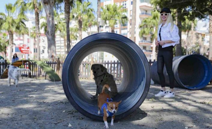 Mersin’den patili dostlara özel oyun parkı