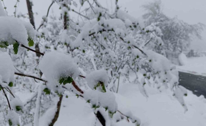 Meteorolojiden Ordu için ’sarı kodlu’ uyarı