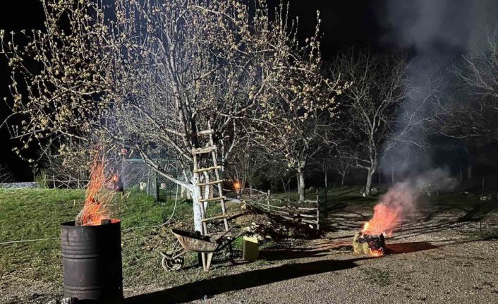 Meyve ağaçlarını zirai dona karşı ateş yakarak koruyor