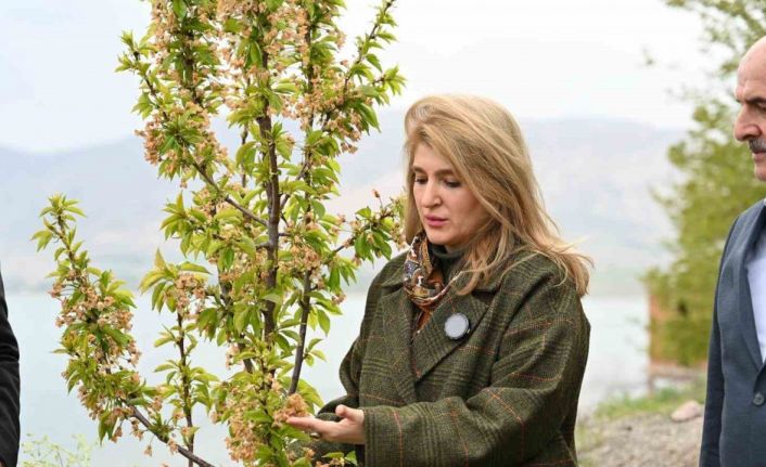 Milletvekili Ölmeztoprak: "Yaraları hep birlikte saracağız"