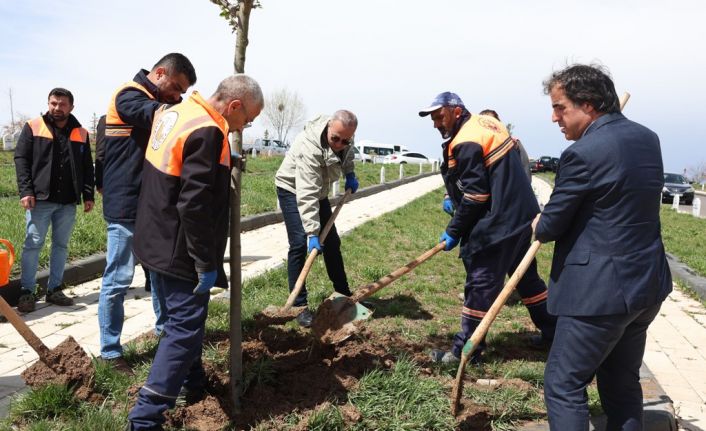 Minik meleklerin kalpli mezarlarına gül dikildi