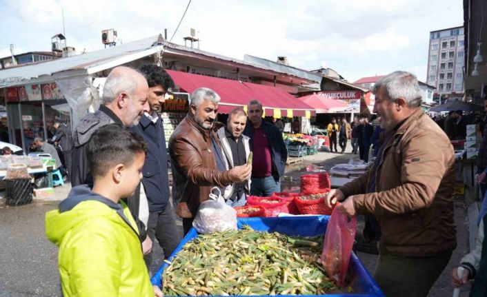 Muş’ta baharın habercisi çiriş otu, doğadan tezgahlara indi