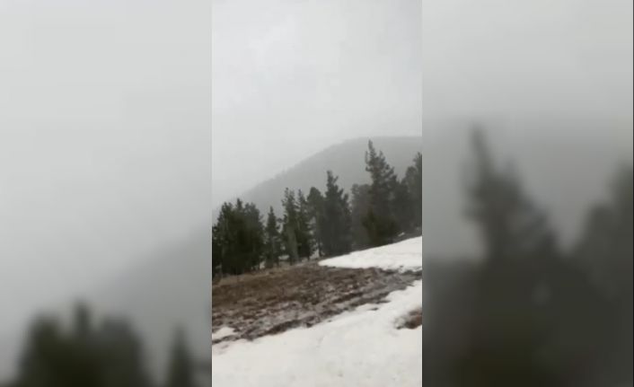 Nisan ayında yağan kar şaşırttı
