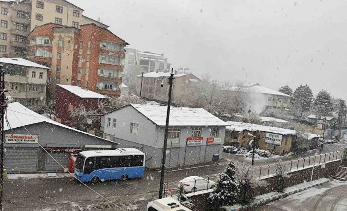 Nisanda lapa lapa kar yağışı