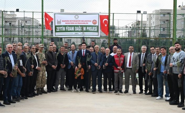 Nusaybinli çiftçilere 8 bin adet zeytin fidanı dağıtıldı