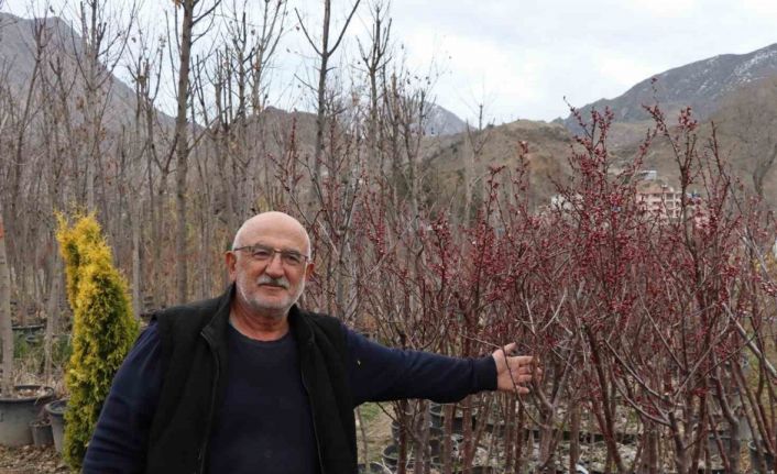 Ömrünü fidan üretimine adadı