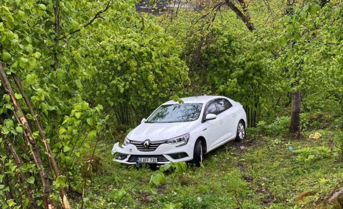 Ordu’da otomobil fındık bahçesine uçtu