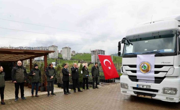 Ordu’dan Azerbaycan’a 3 tır orman fidanı gönderildi