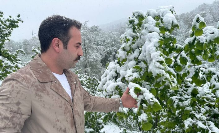 Ordu’nun yüksek kesimlerinde kar yağışı: Fındık üreticileri tedirgin oldu