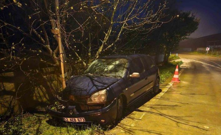 Otomobil elektrik direğine çarptı: 3 yaralı