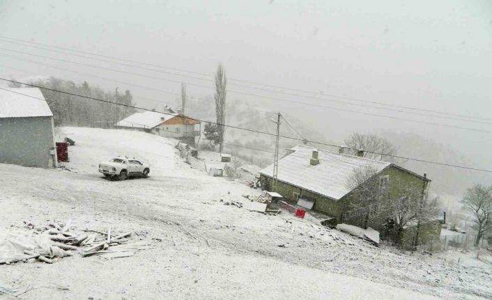 Posof yeniden beyaza büründü