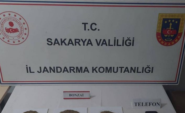 Sakarya’da jandarmadan 10 günde 63 uyuşturucu operasyonu: 68 şüpheli yakalandı