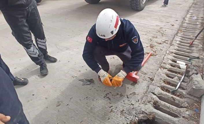 Şanlıurfa’da mazgala düşen yavru kedi kurtarıldı