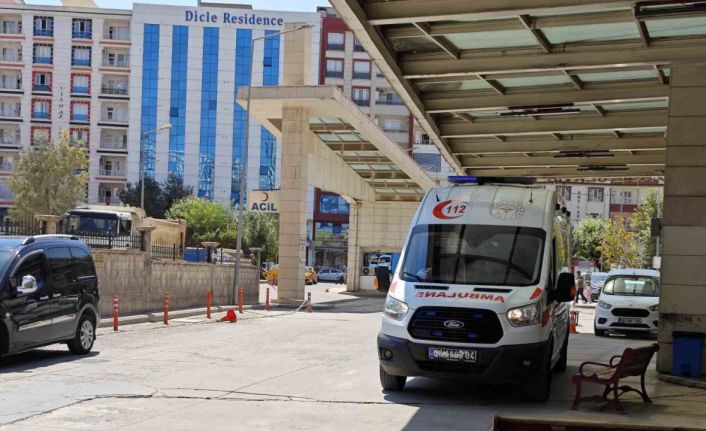 Siirt’te atın ısırdığı çocuk ağır yaralandı