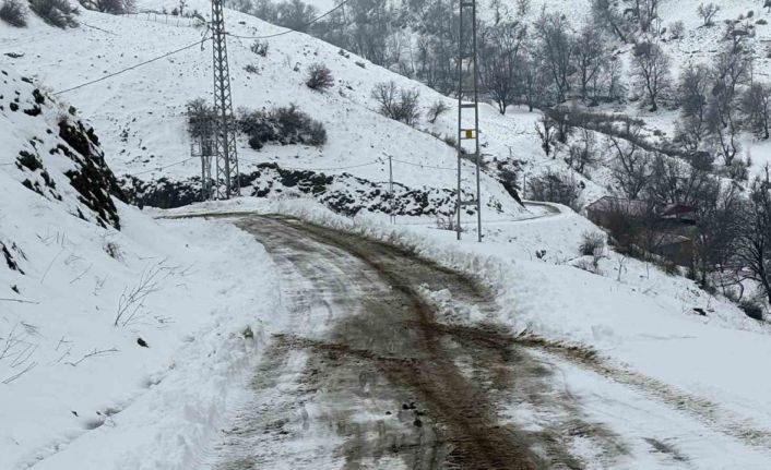 Siirt’te kardan kapanan köy yolu ulaşıma açıldı