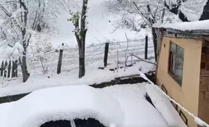 Sinop’ta nisan karı hayatı olumsuz etkiledi