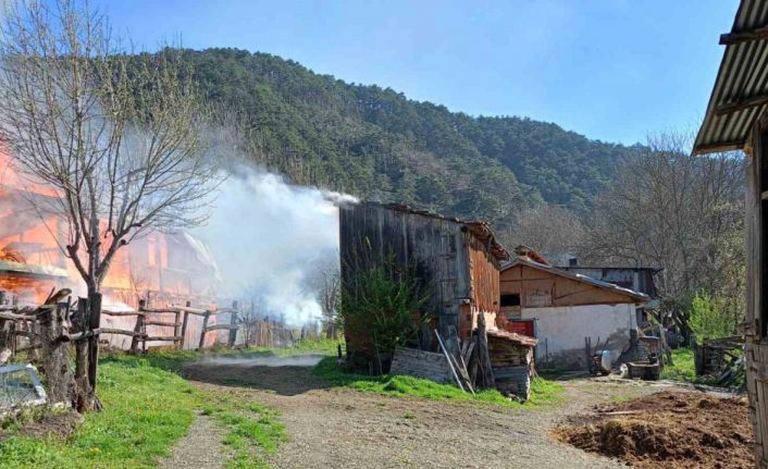 Sobadan çıkan yangın evi küle çevirdi