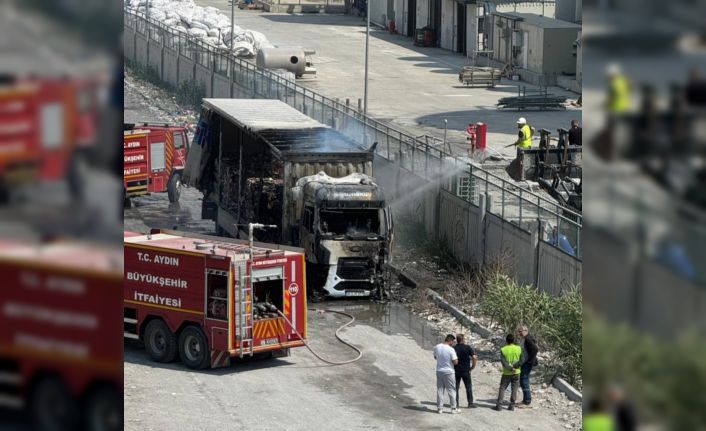 Sökede atık kağıt getiren tırda yangın çıktı