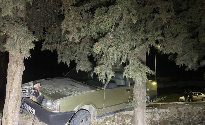 Sürücüsü kalp krizi geçiren otomobil ağaca çarptı: 1 ölü