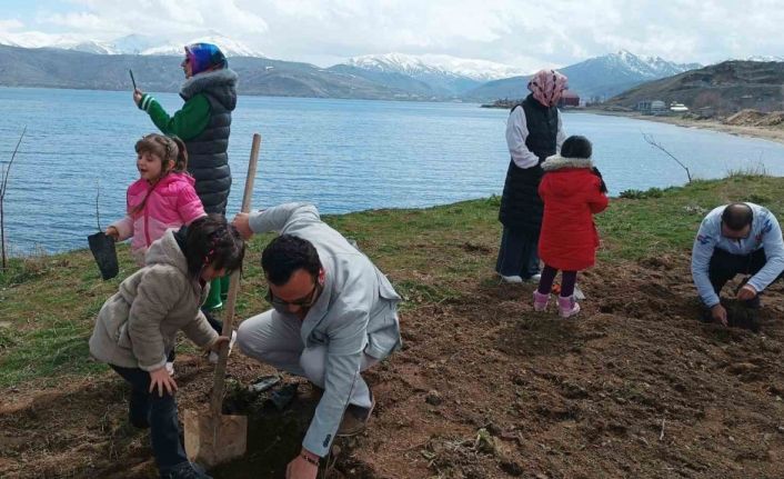 Tatvan’da badem fidanları toprakla buluştu