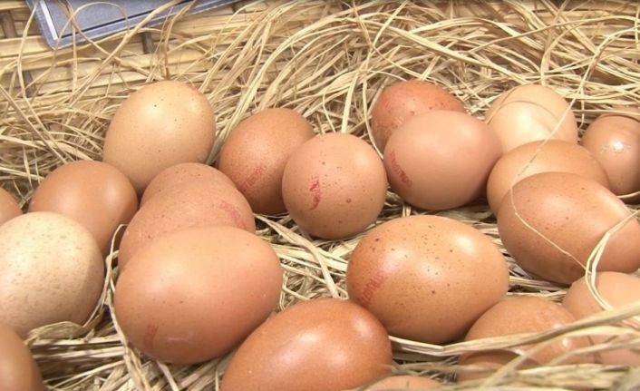 Tavuk yumurtası üretimi yıllık yüzde 10,8 azaldı