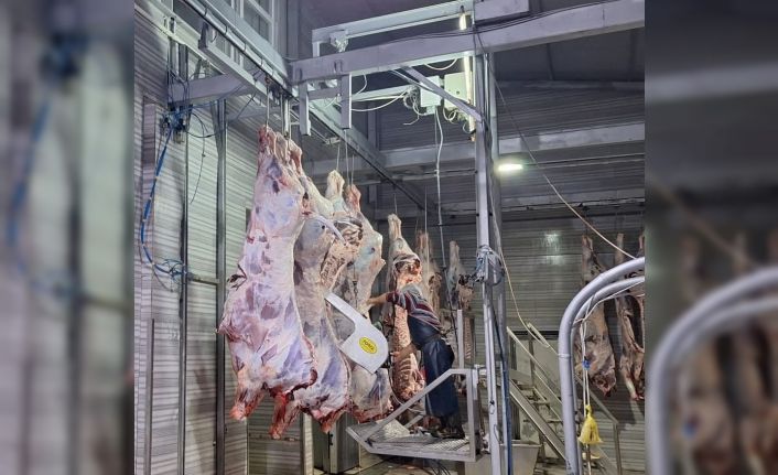 Tekirdağ’da yasal olmayan hayvan sevkine 105 bin ceza
