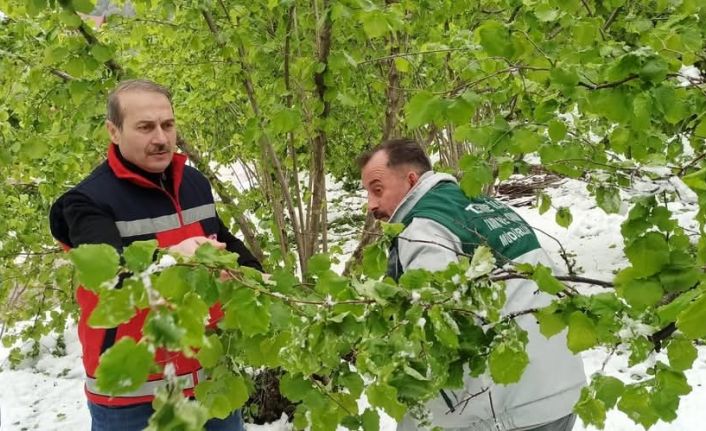 Terme’de hasar tespiti çalışmaları başladı