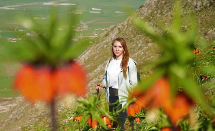 Ters laleler için 3 saat yürüdüler