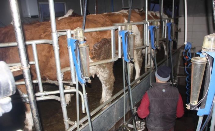 Ticari süt işletmelerince 857 bin 821 ton inek sütü toplandı