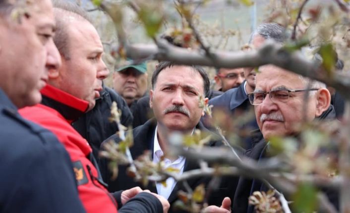 Vali Çiçek ve Başkan Büyükkılıç’tan Develi’de ‘zirai don’ incelemesi