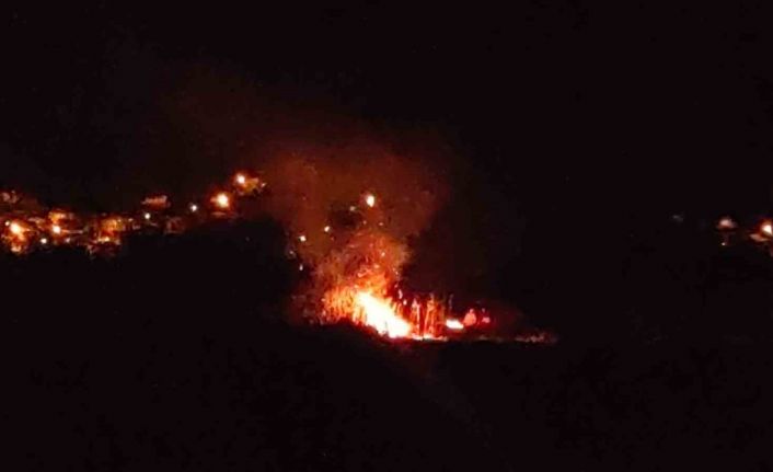 Van’da birçok kuş türüne ev sahipliği yapan sazlık alan yandı