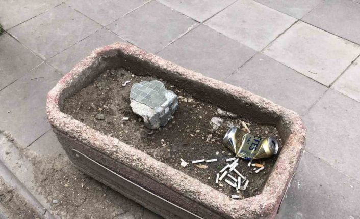 Vatandaşlar ceza ödememek için çözümü saksıda buldu