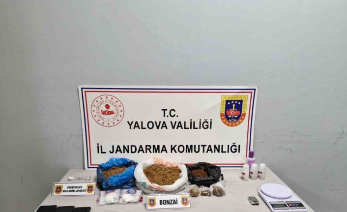 Yalova’da uyuşturucu operasyonunda 2 tutuklama